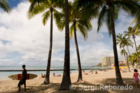 Surfista en la famosa playa de Waikiki. Kalakaua Avenue. O’ahu. ¿Eres fanático o fanática de la película Lost y tienes ganas de conocer sus escenarios de filmacion?. Pues para ello es necesario hacer un viaje a Hawaii, ya que allí se encuentran los escenarios de esta famosa serie televisiva, en la isla de Oahu y desde que es filmada la película de Lost, es denominada popularmente como la isla de Lost. La isla Oahu es la mas grande del archipiélago de Hawai, y su capital es la populosa Honolulu un destino relevante en turismo.